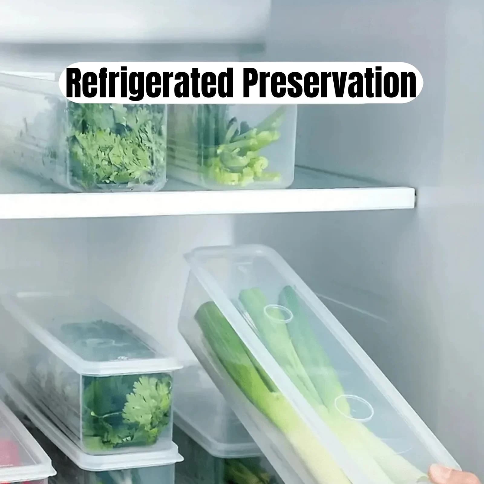 Potes Herméticos para Geladeira com Tampa para Temperos e Alimentos 1/2/4 Peças
